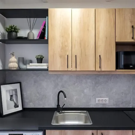 Industrial Cozy In Piata Amzei 公寓