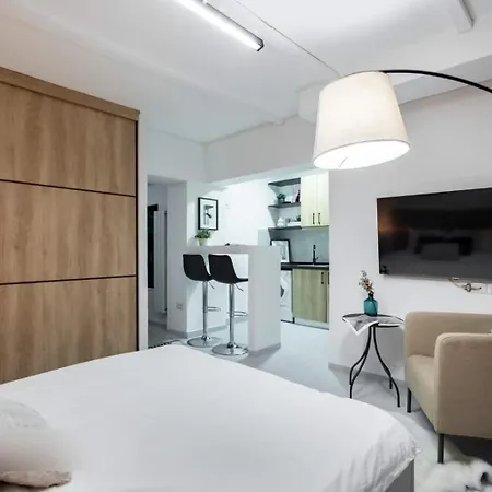 公寓 Industrial Cozy In Piata Amzei 布加勒斯特