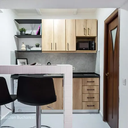 Industrial Cozy In Piata Amzei Apartament Bukareszt