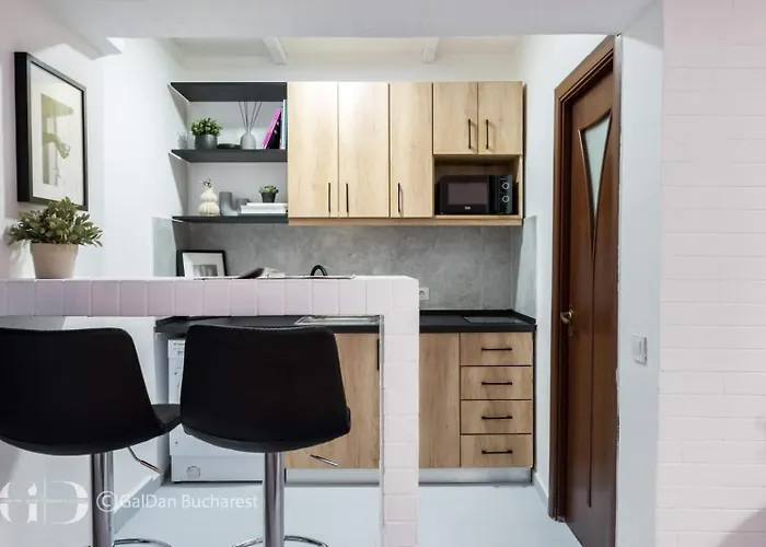 Industrial Cozy In Piata Amzei Apartamento Bucareste